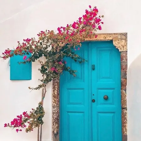 Elicriso *